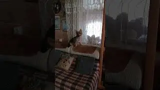 верность