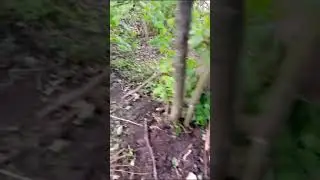 Видео укрепа от Лёши(Суслик) июль 2023.