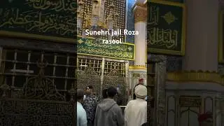 Inside the Golden Mesh of the Prophet's Tomb