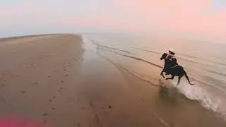 FPV Drone - Horse on the Beach