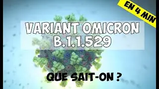Variant Omicron (B.1.1.529) identifié en Afrique du Sud et Botswana : les données préliminaires