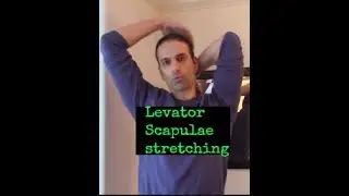 Trigger Point and active stretching of Levator Scapulae