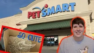 ADOPTING A BLIND HAMSTER FROM PETSMART