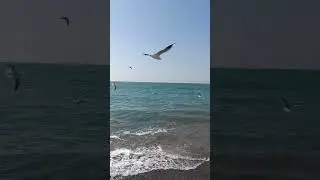 Какой чудесный солнечный день!!!!