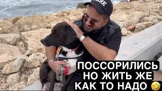 С УТРА ПОВЗДОРИЛИ