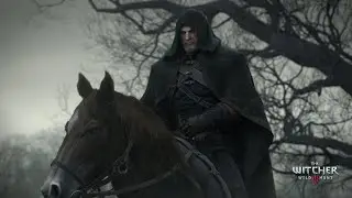 The Witcher 3 GOTY on Intel HD 530 | Low Spec Config