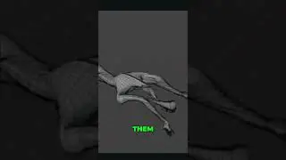 I Hate The Blender Help Forum 😭 