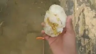 gold nuggets in white stone