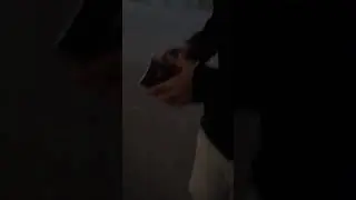 псалтырь