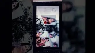 wedding Album bride Dm Sheet Design in Photoshop | photoshop Album Design |photoshop 2023