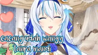 Cacang wangy wangy ril no fek