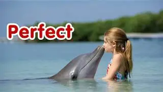 Perfect - Ikson [Relax music]