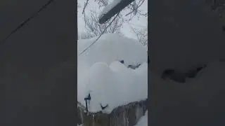 Зима в Краснодарском крае.г Белореченск.