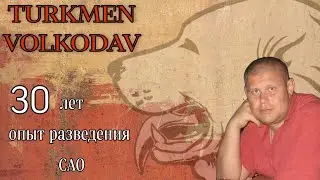 Питомник собак | Алабаи | Turkmenvolkodav | Breeders Alabai