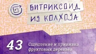 43. Кеширование в компоненте / 