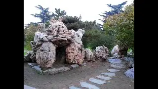 Практики выживания. Навигатор Воли