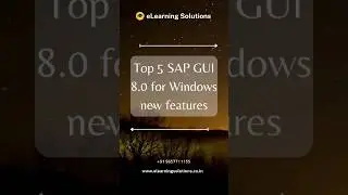 TOP 5 SAP GUI 8.0 FOR WINDOWS NEW FEATURES | SAP GUI 8.0 | eLearning Solutions .