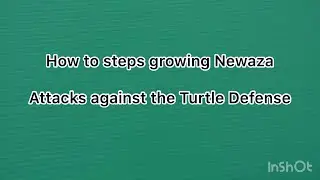 JUDO How to steps growing NEWAZA Attacks against the Turtle Defense