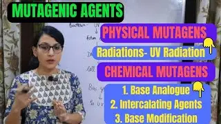 MUTAGENIC AGENTS ||  PHYSICAL  MUTAGENS and CHEMICAL MUTAGENS || GENETICS