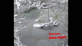 İstanbul Karlar Altında / 10-13 Mart 2022