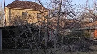 Обрезка плодовых деревьев. Один из рабочих дней.
