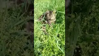 Някша и Чушечка ☺️