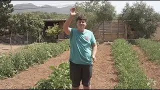 Mi huerto verano 2022! 🪴🍉🥬🫑