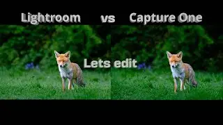Lightroom vs Capture One have things change.