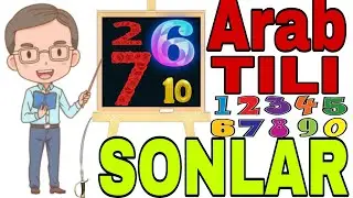 Arab tilida SONLAR va RAQAMLAR