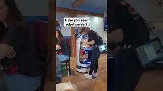 Have you seen robot server? #ytshorts #robot #restaurant