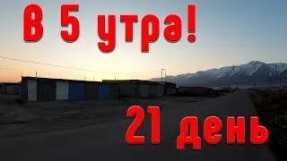 VLOG: 21 день в 5 утра! Жизнь по режиму! Первые 10 дней!