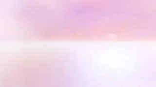 Sunset Flight