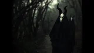 White Ward - Futility Report [Full - HD] (2017)