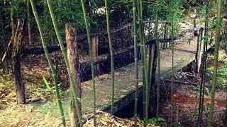 Short Bamboo B-roll vid by YoWaddles