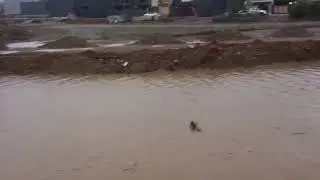 Erbil Flood,Zeelan Q. on 28 Jan 2014-لافاوی هەولێر،گەڕەکی زیلان - فيضان اربيل،حي زيلان