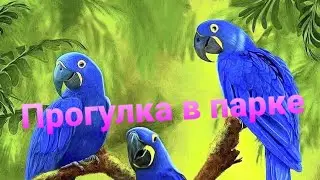 Парк 