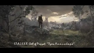 S.T.A.L.K.E.R. Зов припяти Сборка Путь антиквара 