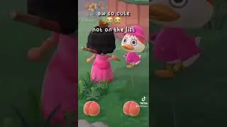 another day another animal crossing villager hunt