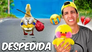 ESSE É O ÚLTIMO VÍDEO COM MEU PATO DE ESTIMAÇÃO *Ele foi embora !