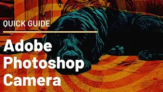 Photoshop Camera | Quick Intro from a common man perspective