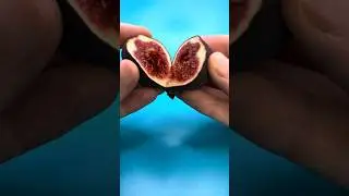 Инжир, ПОЛНЫЙ ролик в профиле #еда #биология #насекомые #наука