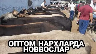 АНДИЖОН АСАКА УЗБЕКИСТОН МОЛ БОЗОРИ НАРХЛАРИ 2021 ANDIJON ASAKA UZBEKISTON MOL BOZORI NARXLARI SHVED