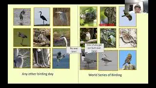 Maryland Youth in the World Series of Birding