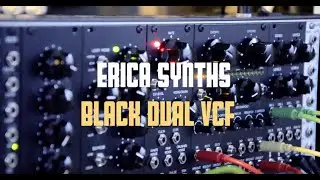 Erica Synths-Black Dual VCF multimode Filter/ Black Hole DSP /Black Modulator/Black VC EG