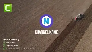 Camtasia Logo Reveal Intro Template (Camtasia-Intro-5)