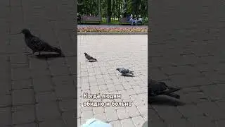 Когда людям обидно и больно, они начинают МОЛЧАТЬ #мышление #боль #страстиунасти #automobile #юмор #