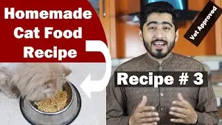 Best Homemade Cat Food Recipe