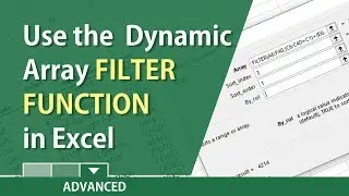 Dynamic Array FILTER Function in Excel by Chris Menard