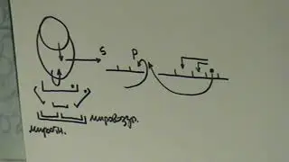 Оппозиция между действием, рефлексией и критериями  Выход в теоретическое   Созидание предиката