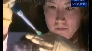 Волна будущего